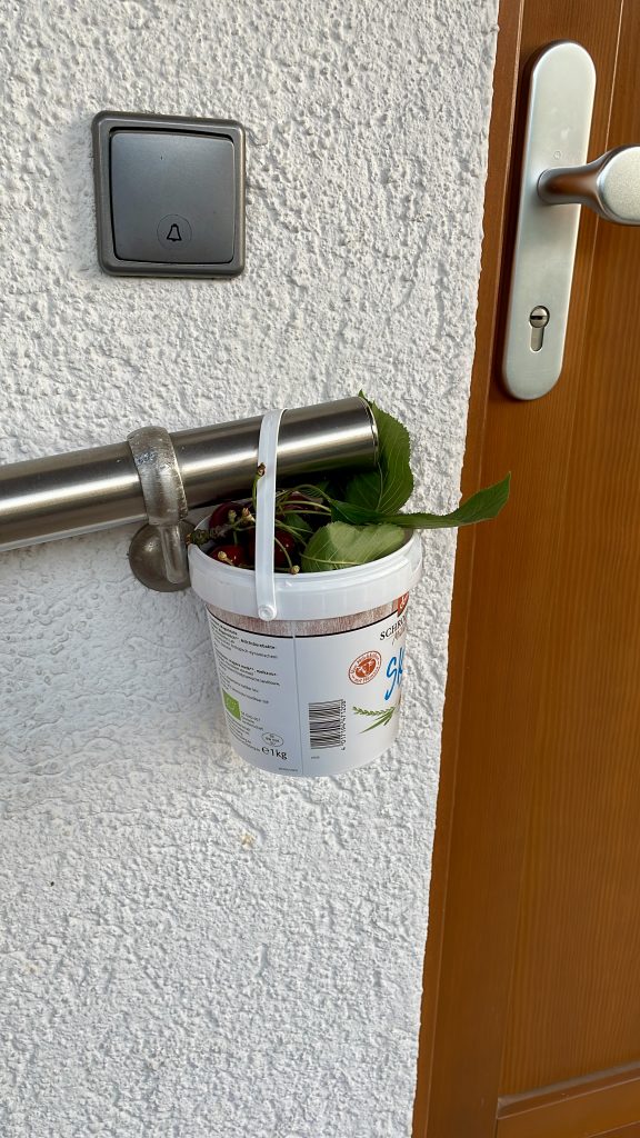 Kirschen in einem kleinen Eimer