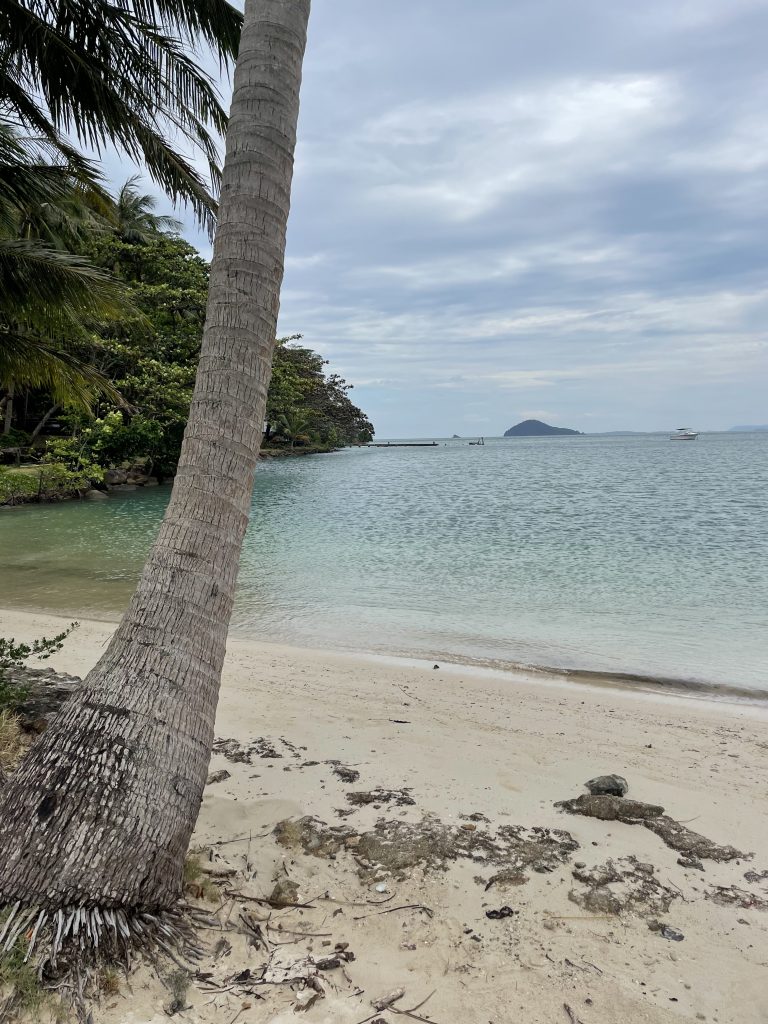 Ein Sandstrand. links ist der Stamm einer Palme und ein paar Palmenblätter im Bild. Links auch eine Erhöhung mit Bäumen und Büschen am Horizont eine kleine Insel und 2 Boote