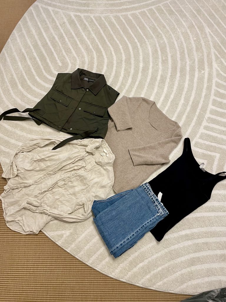 Im Monatsrückblick Januar erscheint das Bild mit fünf Kleidungsstücken die auf deinem Teppich liegen. Sie wurden vor dem Kleidercontainer gerettet