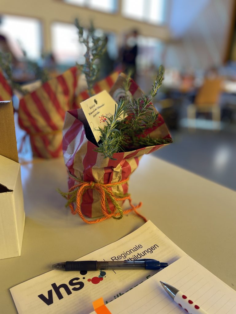 Eine Rosmarienpflanze steht auf einem Tisch