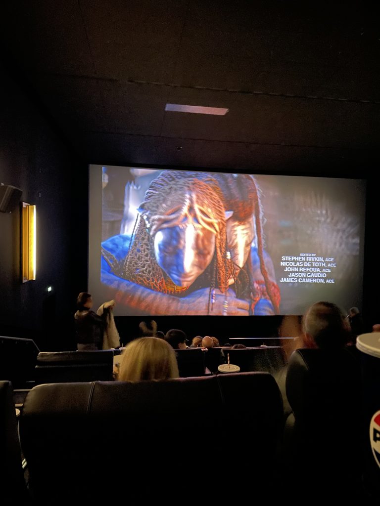 Ein Kinosaal. Auf der Leinwand sieht man eins Szene aus dem Film Avatar