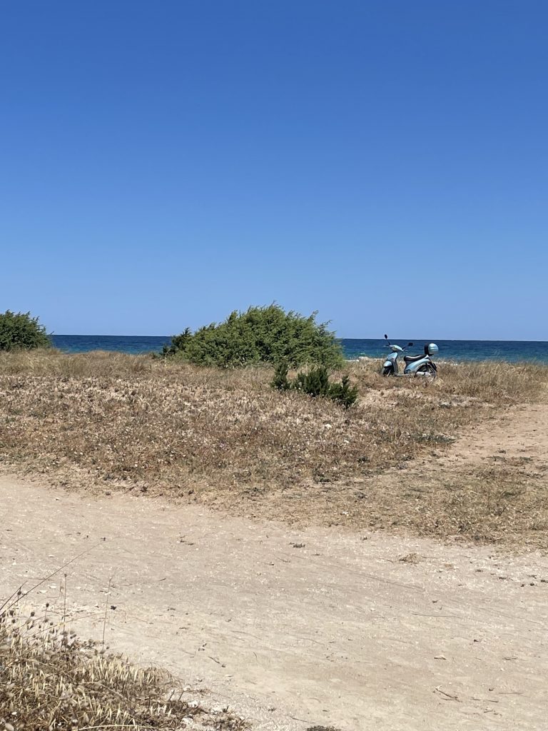 Eine blaue Vespa steht auf trockenem Gras im Hintergrund sieht man das Meer