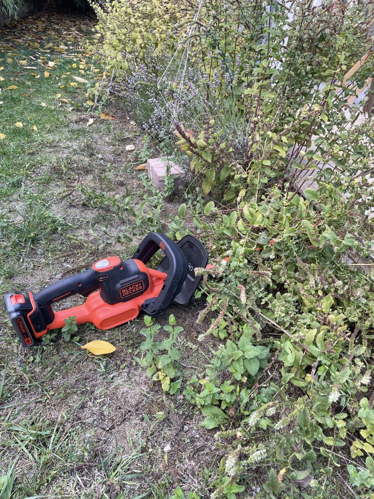 Gartenarbeit mit der elektrischen GArtenschere