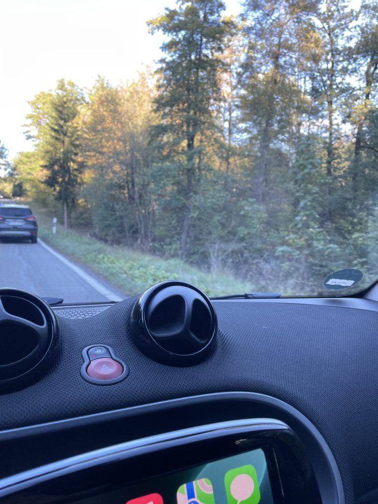 Ausblick aus einem Auto in den Wald