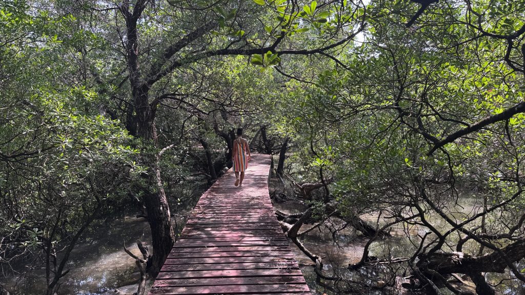 Roter Steg auf Koh Chang. Ein Frau geht drauf nd rundherum sind Mangroven