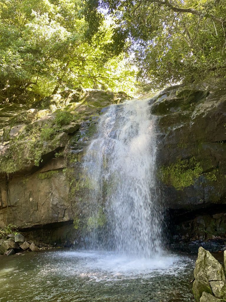 Wasserfall auf den Seychellen, genannt Cascade Wasserfalls