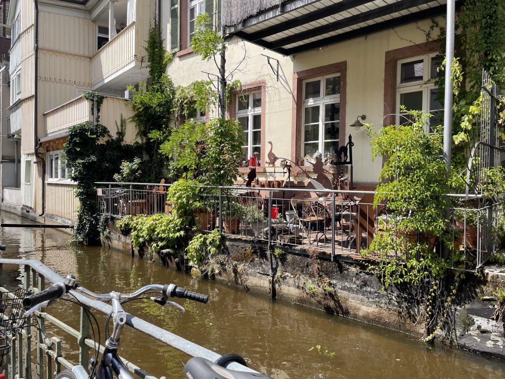 Sommerlicher Blick auf einen begrünten Balkon mit Metallkunst an einem historischen Haus am Wasserkanal in Freiburg im Breisgau – Fahrräder im Vordergrund und sonnige Juli-Stimmung.