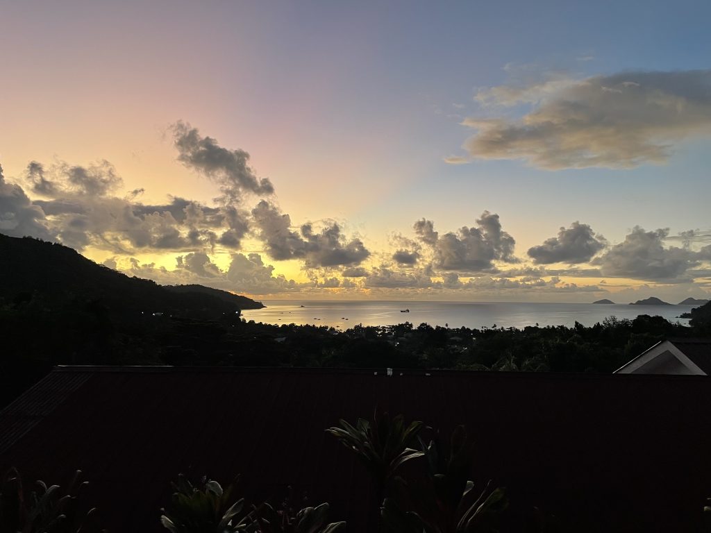 Sonnenuntergang mit Bäumen im Forderung und dem Meer im Hintergrund.