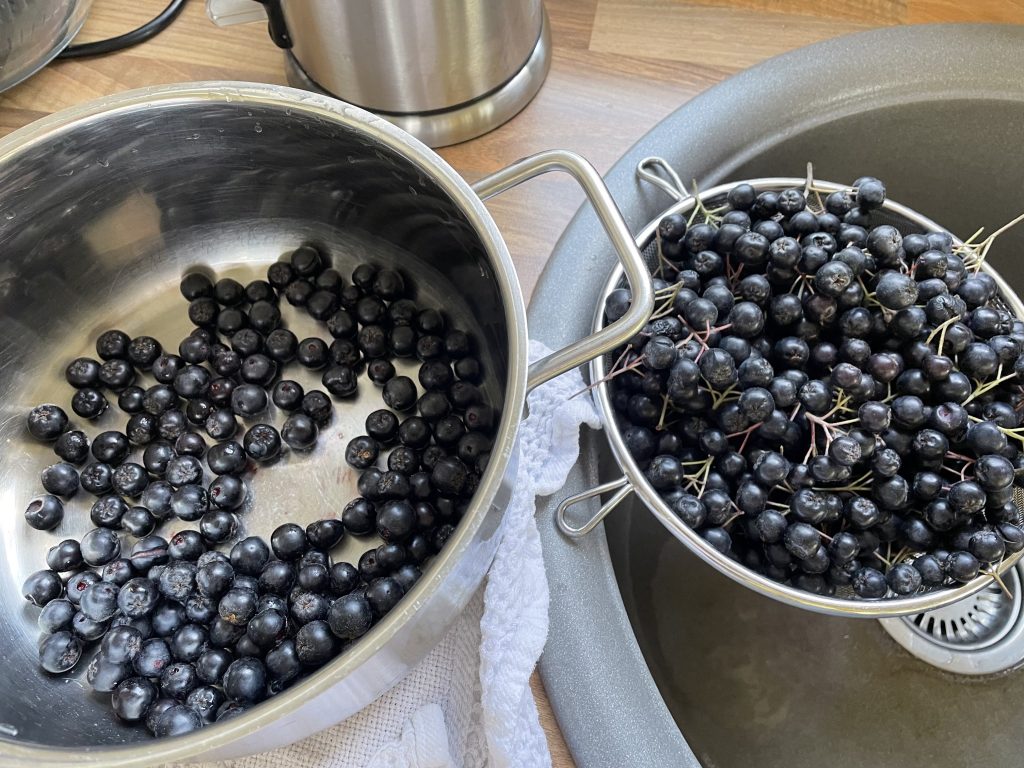 ein Topf mit gezupften Aroniabeeren und daneben ist ein Sieb über einem Waschbecken mit umgezupften Aroniabeeren