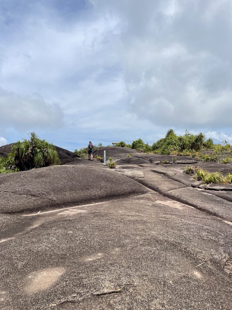 Ein Feld von Granitfelsen