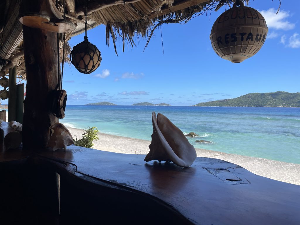Eine Strandbar mit Ausblick auf türkisfarbenes Meer. Auf dem Tresen lieget eine große Muschel