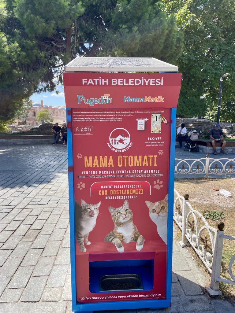 Futterautomat für Straßenkatzen in Istanbul im Stadtteil Fatih – moderne Spendenstation, an der Bewohner und Touristen mit Münzen Katzen und Hunde mit Futter versorgen können.