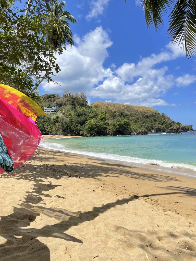 Im Vordergrund sind auf der linken Seite flatternde bunte Tücher an einem goldgelben Strand mit türkisfarbenen Meer auf Tobago