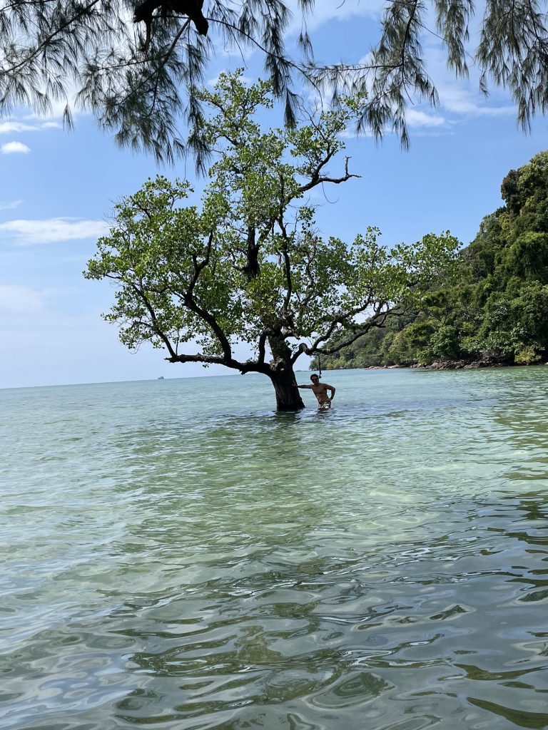 "The lonely tree in the sea" auf Koh Chang in Thailand