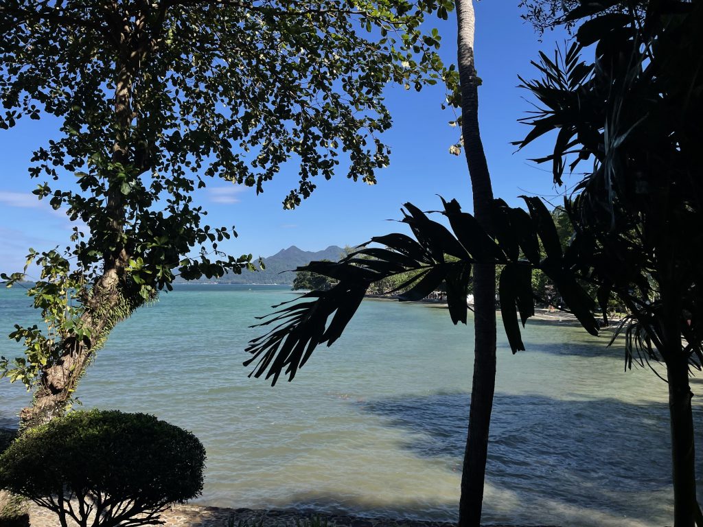 Das Meer, im Hintergrund sind Hügel an der sanft gebogenen Küste. Im Vordergrund säumen Bäume das Bild